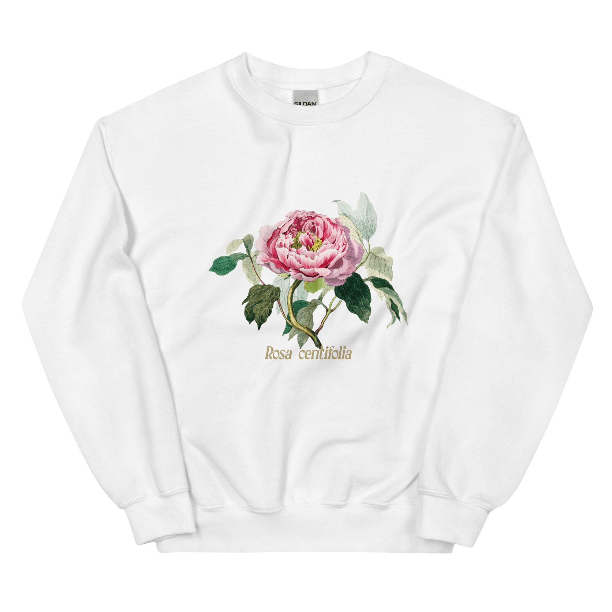 Rosa Centifolia Cabbage Rose Flower Sweatshirt - Polychrome Goods 🍊