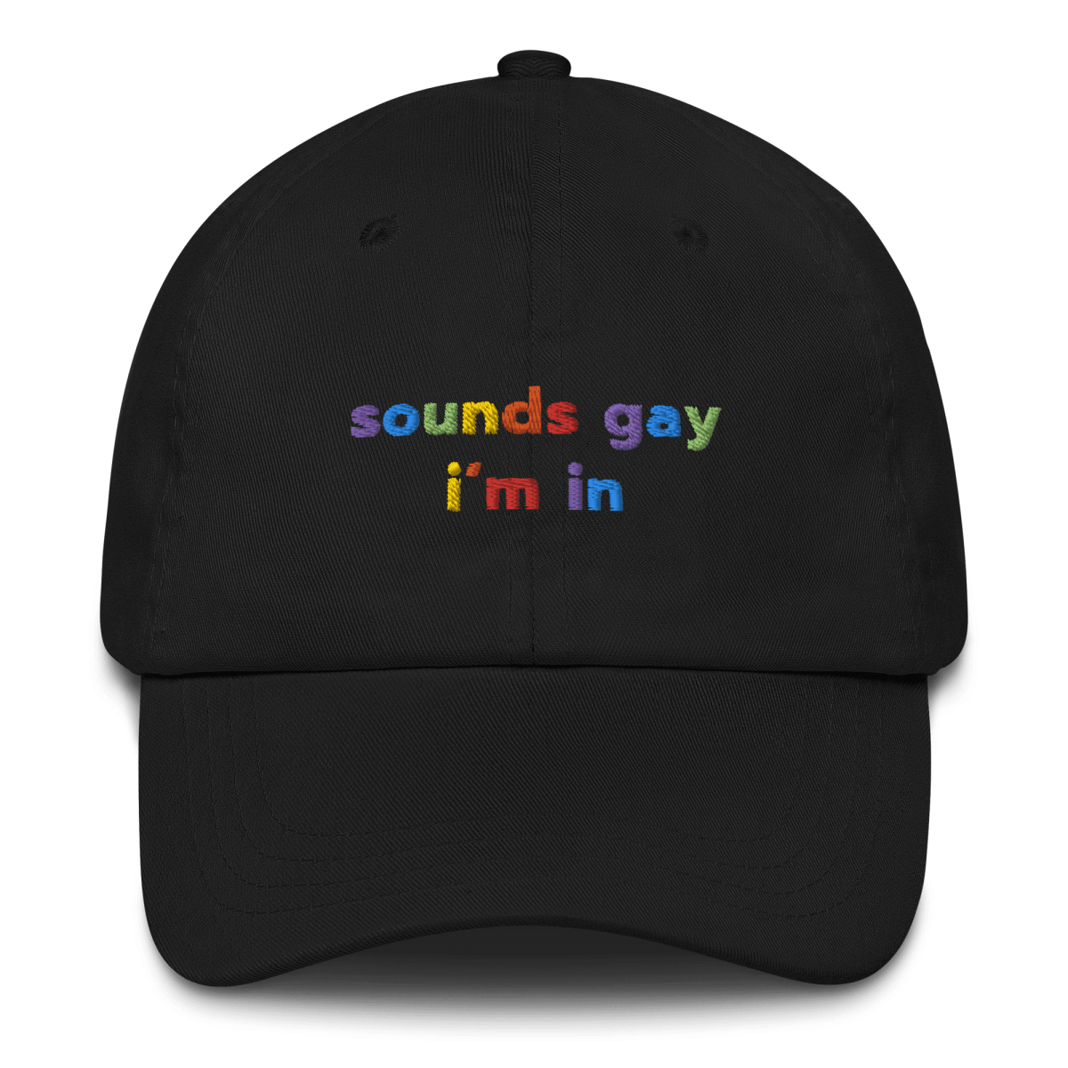 sounds gay, i'm in Embroidered Hat for Pride - Polychrome Goods 🍊