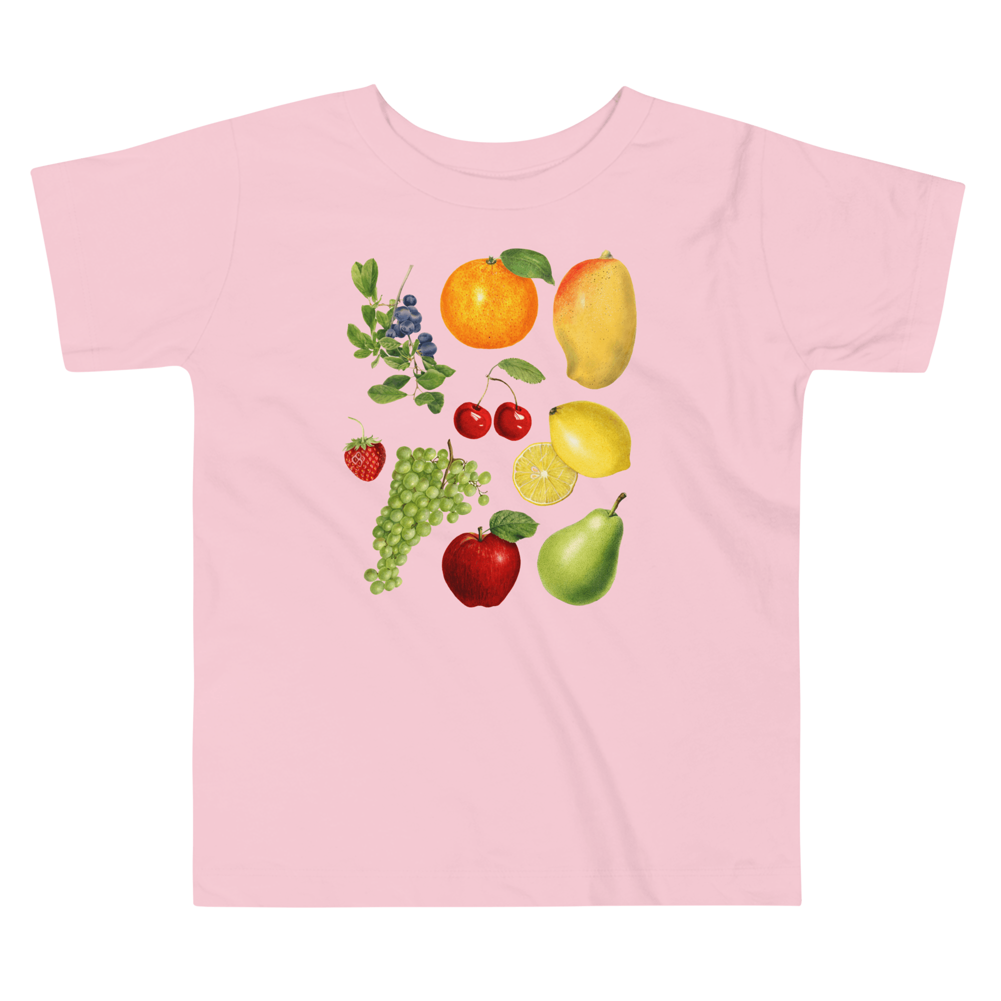Super Fruity Toddler Short Sleeve Tee - Polychrome Goods 🍊