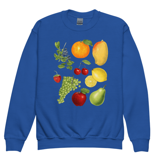 Super Fruity Youth Kids Sweatshirt - Polychrome Goods 🍊