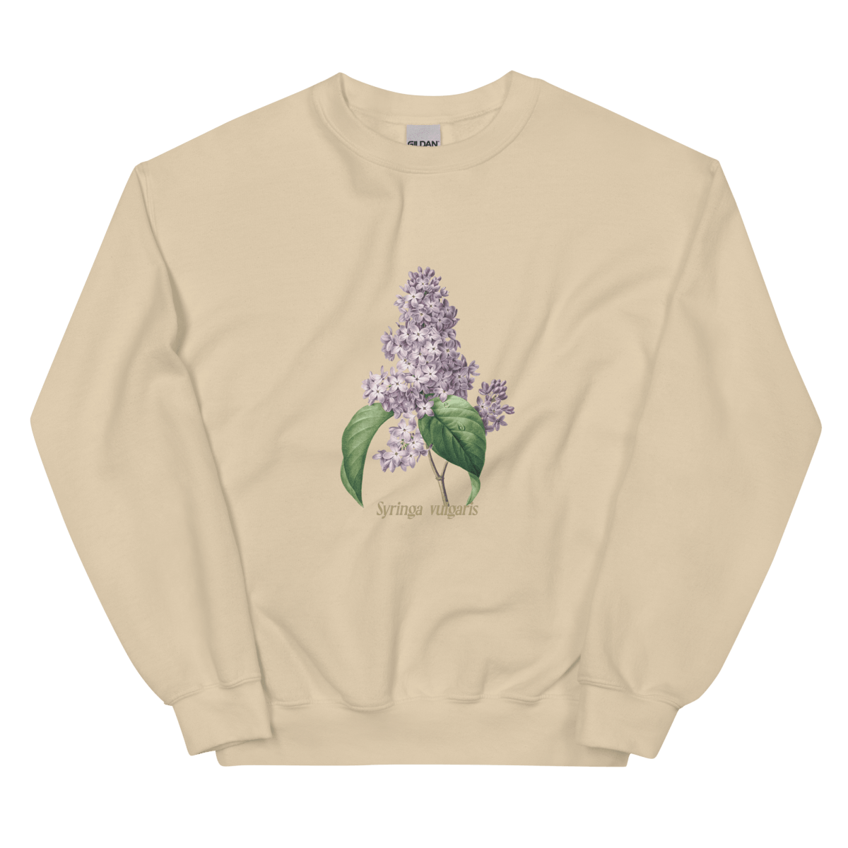 Syringa Vulgaris Lilac Flower Sweatshirt - Polychrome Goods 🍊