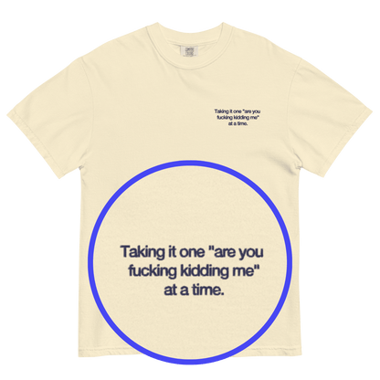 Taking it one "are you fucking kidding me" at a time Shirt - Polychrome Goods 🍊