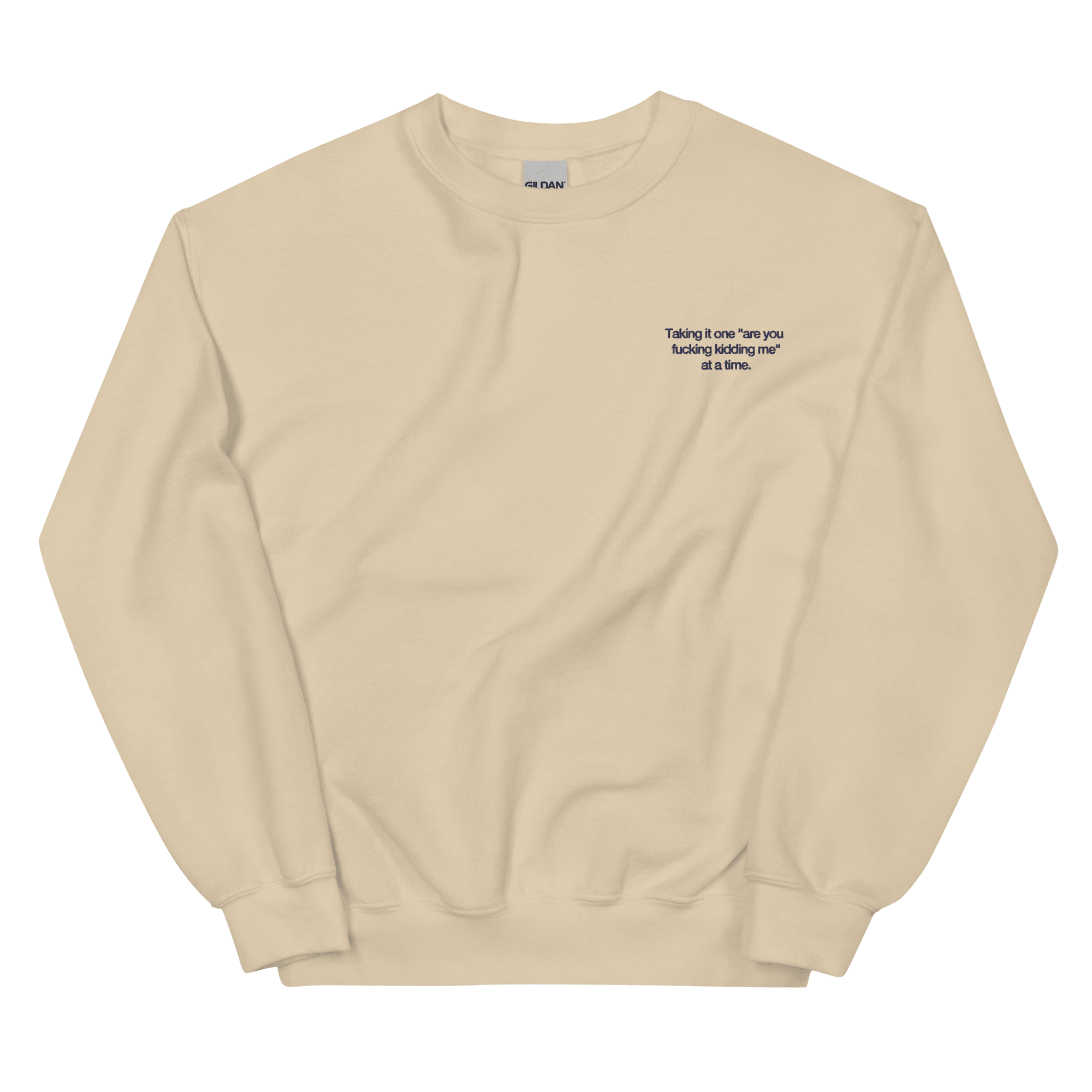 Taking it one "are you fucking kidding me" at a time Sweatshirt - Polychrome Goods 🍊