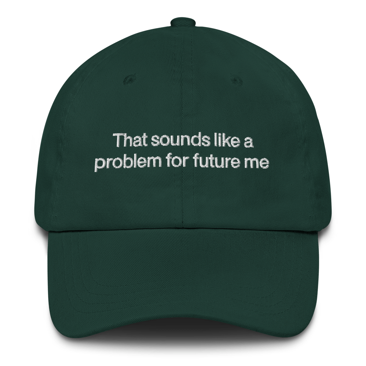 That sounds like a problem for future me Embroidered Hat - Polychrome Goods 🍊