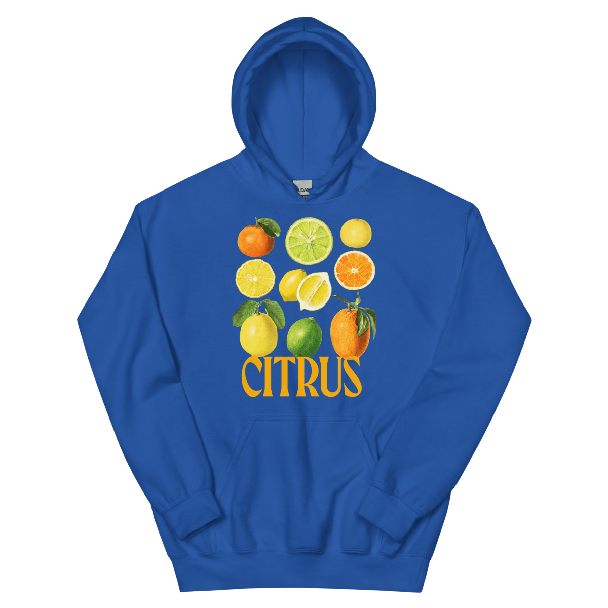 The Citrus Hoodie - Polychrome Goods 🍊