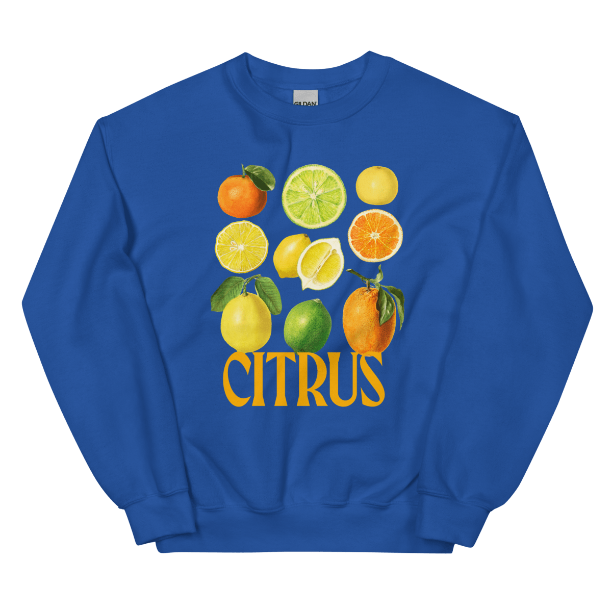 The Citrus Sweatshirt 🍋🍊 - Polychrome Goods 🍊