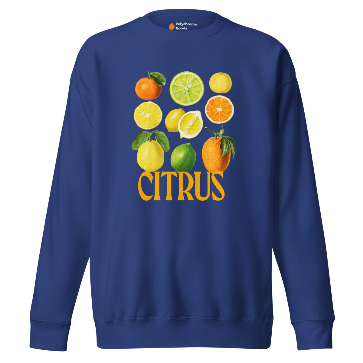 The Citrus Sweatshirt 🍋🍊 - Polychrome Goods 🍊