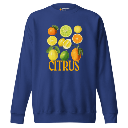 The Citrus Sweatshirt 🍋🍊 - Polychrome Goods 🍊