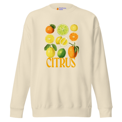 The Citrus Sweatshirt 🍋🍊 - Polychrome Goods 🍊