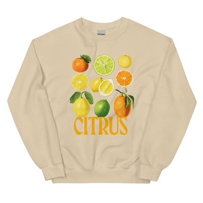 The Citrus Sweatshirt 🍋🍊 - Polychrome Goods 🍊