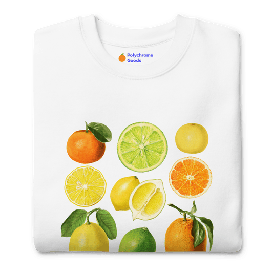 The Citrus Sweatshirt 🍋🍊 - Polychrome Goods 🍊