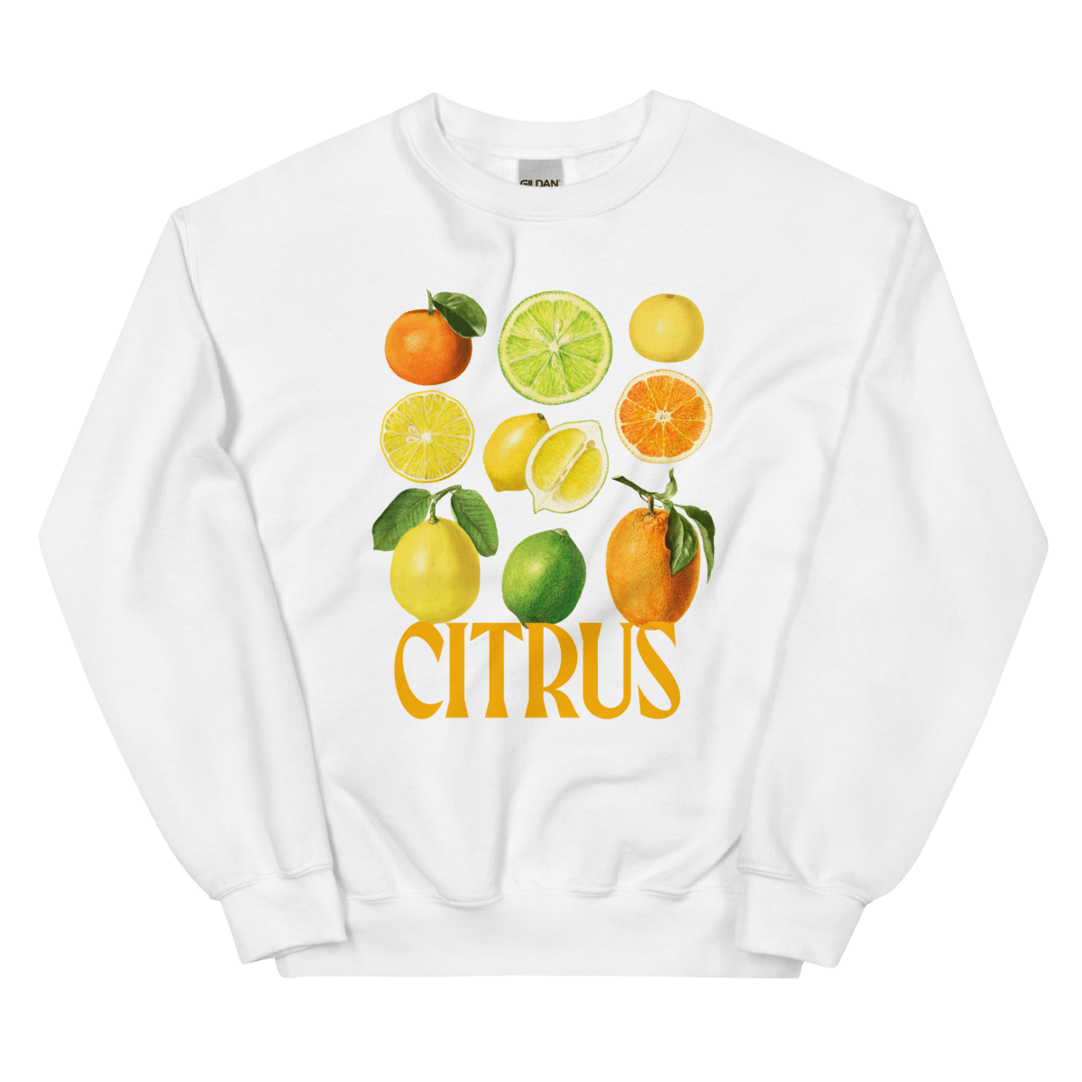 The Citrus Sweatshirt 🍋🍊 - Polychrome Goods 🍊