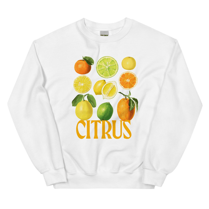 The Citrus Sweatshirt 🍋🍊 - Polychrome Goods 🍊