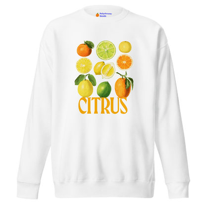 The Citrus Sweatshirt 🍋🍊 - Polychrome Goods 🍊