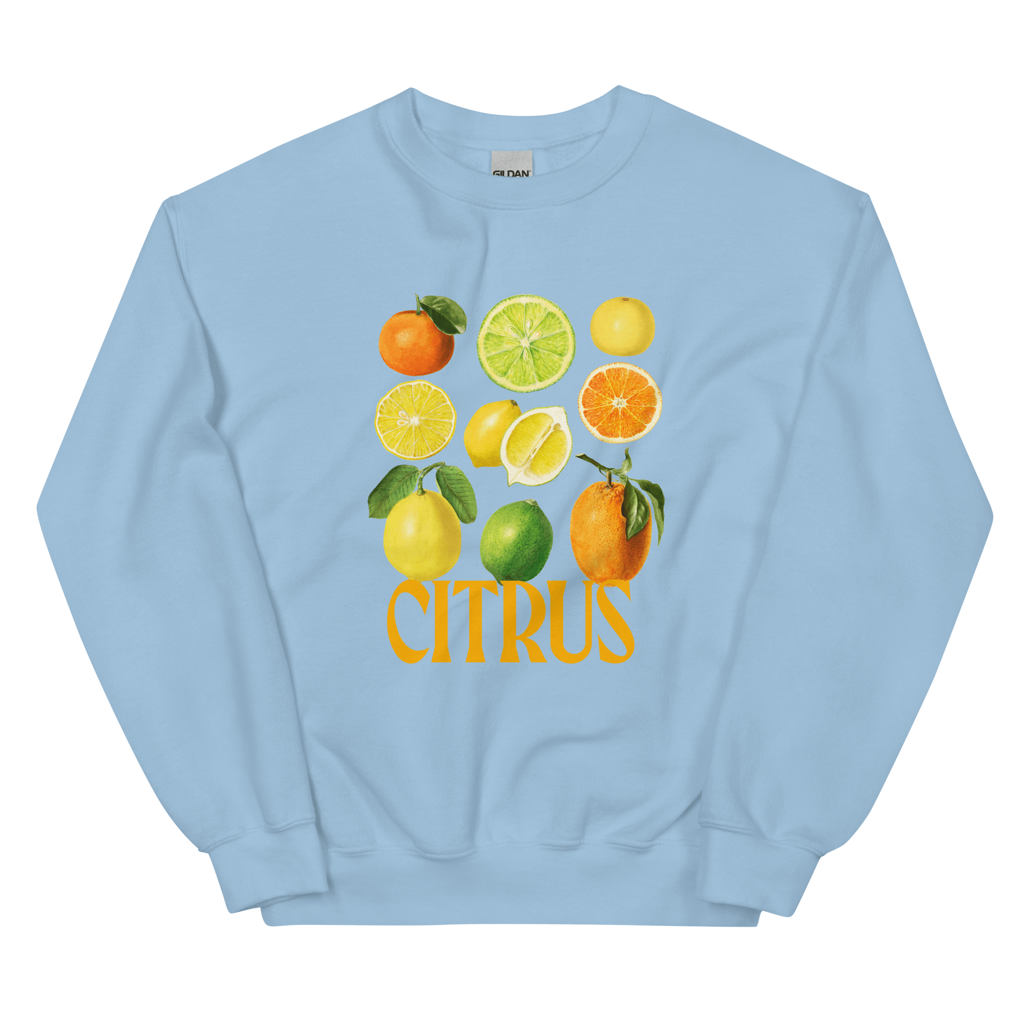 The Citrus Sweatshirt 🍋🍊 - Polychrome Goods 🍊