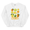 The Citrus Sweatshirt 🍋🍊 - Polychrome Goods 🍊