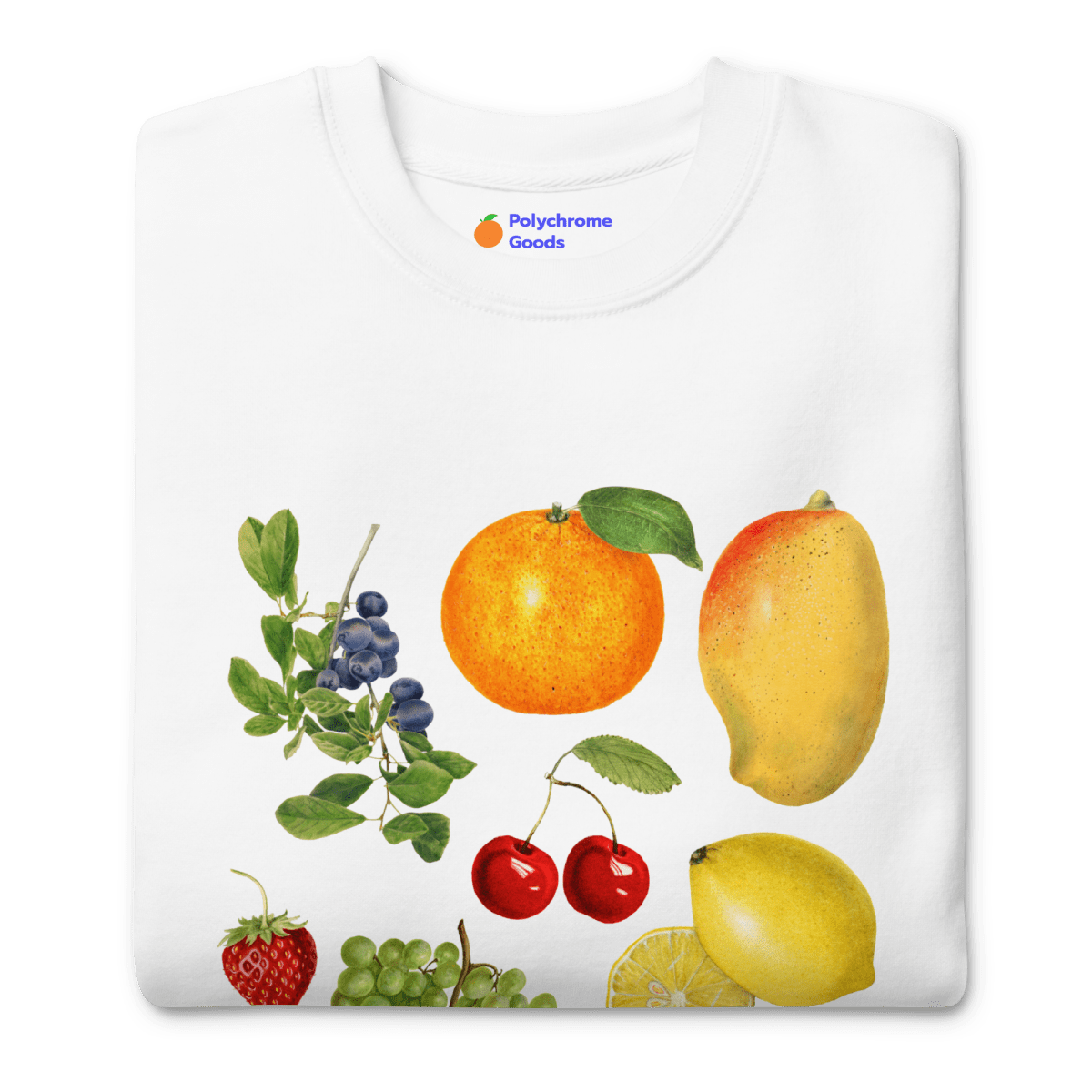 The Super Fruity Sweatshirt 🍊🍋🍒🍏 - Polychrome Goods 🍊