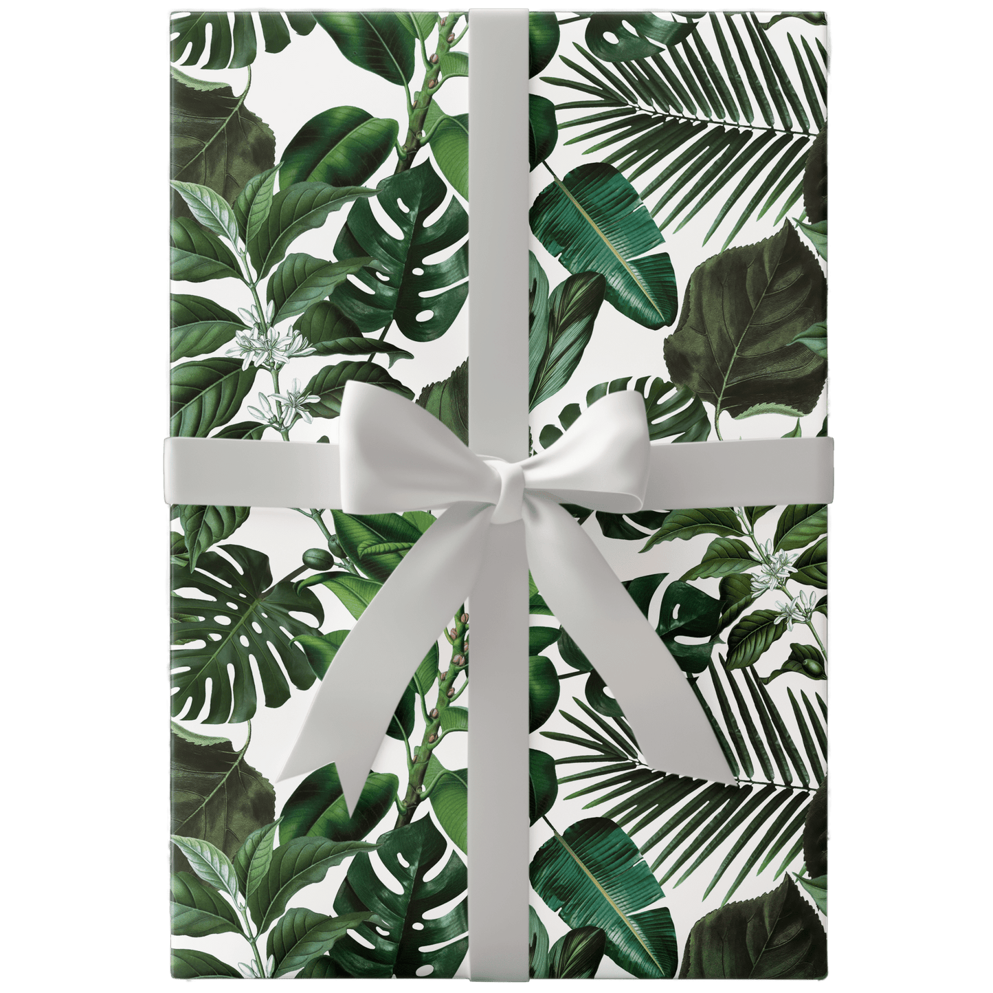 Tropical Monstera Plant Wrapping Paper - Polychrome Goods