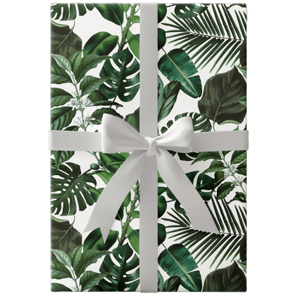 Tropical Monstera Plant Wrapping Paper - Polychrome Goods