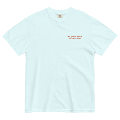 Un Aperol Spritz S'il Vous Plaît Gradient Embroidered Shirt - Polychrome Goods 🍊