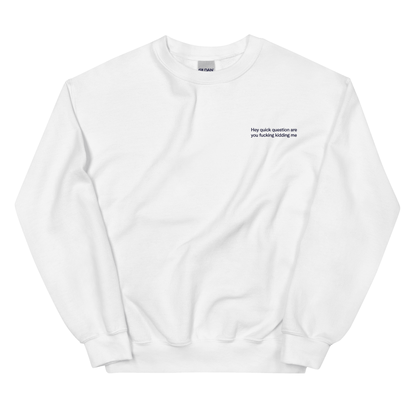 Hey quick question are you fucking kidding me. Embroidered Sweatshirt