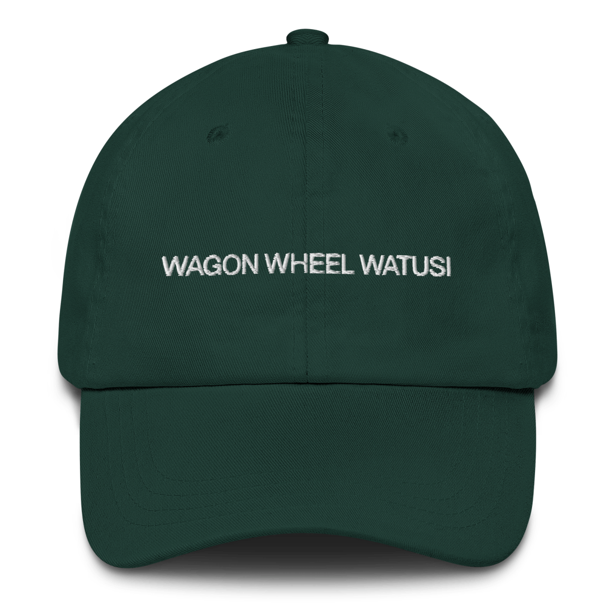 Wagon Wheel Watusi! Embroidered Hat | Burlesque - Polychrome Goods 🍊