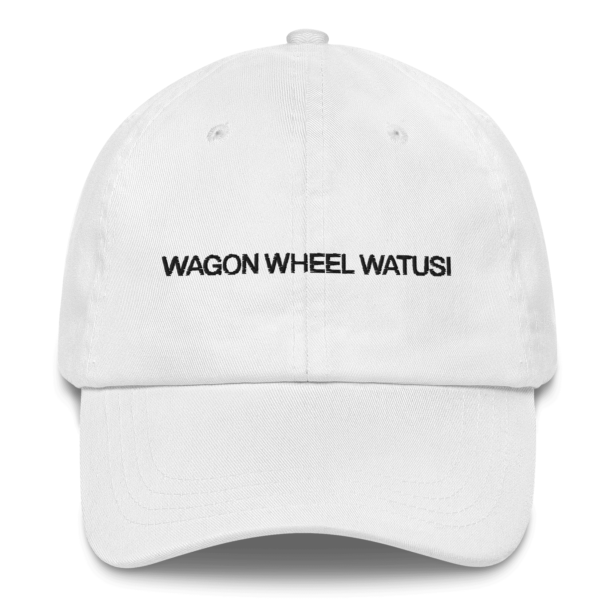 Wagon Wheel Watusi! Embroidered Hat | Burlesque - Polychrome Goods 🍊