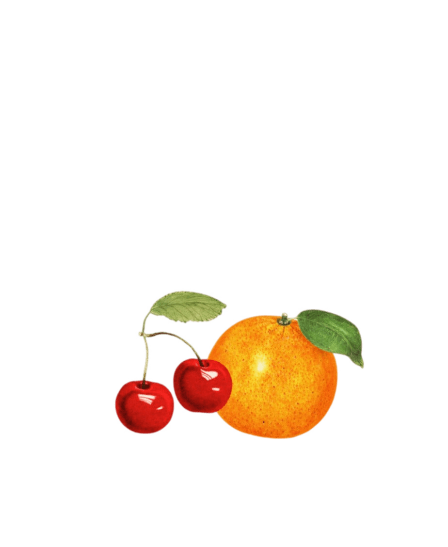 Women's Orange Cherry Fruit Crop Top T-Shirt Polychrome Goods