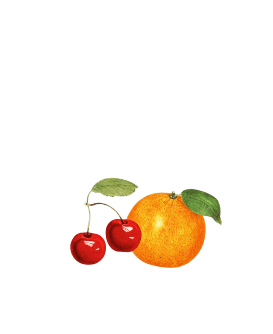 Women's Orange Cherry Fruit Crop Top T-Shirt - Polychrome Goods 🍊