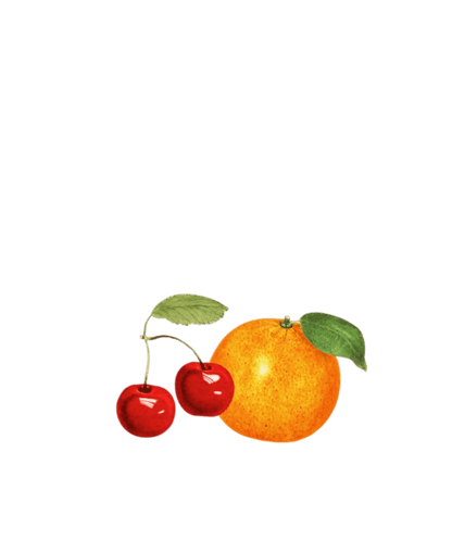 Women's Orange Cherry Fruit Crop Top T-Shirt - Polychrome Goods 🍊